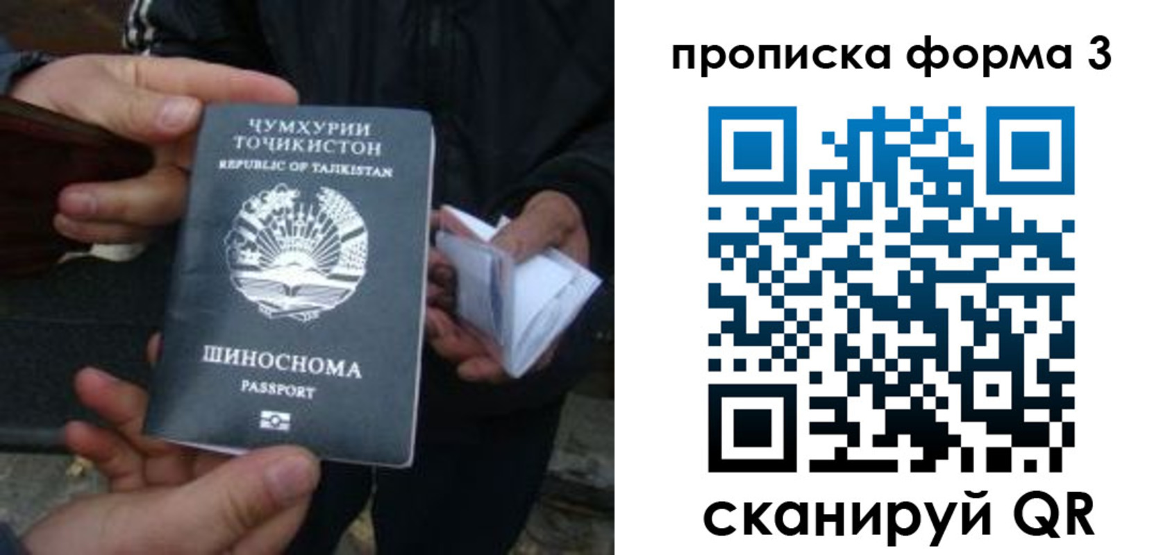 прописка 2025 в Коркино